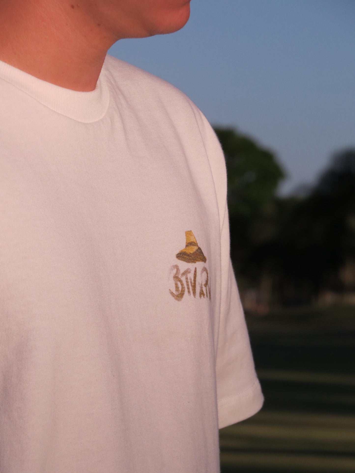 Camiseta Santos Dumout